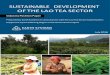 Lao Tea Sector - Earth Systems DEVELOPMENT OF … · Lao Tea Sector - Industry Position Paper FINAL Page 2 1 INTRODUCTION After water, tea is the most popular beverage in the world