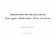 Terpenoide Pseudoalkaloide Cyanogene Glykoside, Glucosinolate … · 2016. 11. 15. · Hydroxy-Cholesterol • Zyklisierung führt zu einem Pyperidin- und danach einem 16β-Hydroxy-Intermediär