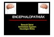 ENCEPHALOPATHI£¾K - Semmelweis Egyetem 2015. 3. 12.¢  Az encephalopathia klinikai defin£­ci£³ja ¢â‚¬¢