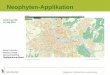 Geoportal BS - Neophyten-Applikation0f83ff40-2ee7-4994-be50... · 2018. 5. 22. · Kanton Basel -Stadt Stadtgärtnerei Fachbereich Natur, Landschaft, Bäume 1 Neophyten-Applikation
