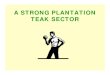 A STRONG PLANTATION TEAK SECTORteaknet.org/images/13- Teak Plantation.pdf · 2020. 10. 6. · CURRENT PRICES TEAK PRICES 0 500 1000 1500 2000 2500 3000 Date 2nd Grade 3rd Grade 4th