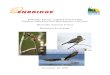 Enbridge Energy, Limited Partnership Pipeline Operation ...a123.g. · PDF file Warpaint emerald dragonfly Ringed boghaunter MINT MINT MINT REPTILE Blanding’s turtle MINT MOLLUSKS