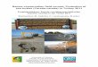 Nature conservation field course: Protection of sea turtles … · 2012. 3. 12. · 0206, TR0208 und TR48. Ein Caretta caretta Weibchen (TR 48) wurde am 10 Juli am Strand von Akgöl