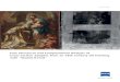 Fast Structural and Compositional Analysis of Cross ... · Fast Structural and Compositional Analysis of Cross-section Samples from an 18th Century Oil Painting with "Shuttle&Find"