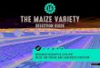 THE MAIZE VARIETY - LG Seeds · 2020. 9. 14. · Maize variety choice simplified Getting maize variety choice wrong can be costly in terms of missed opportunity to produce the maximum