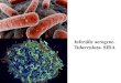Infecțiile aerogene. · 2020. 10. 31. · Rujeola –boală infecţioasă acută, însoţită de inflamaţia catarală a mucoaselor căilor respiratorii şi conjunctivei şi erupţii