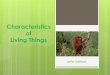 The Characteristics of Living Things · 2020. 10. 4. · Living Things An organismis a name given to living things. Plants and Animals are called Living Organisms. All living things