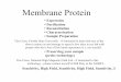 Membrane Protein - MITweb.mit.edu/fbml/OldFiles/winterschool2008/talks/Fri2a... · 2008. 2. 7. · • Liposome solution is deposited on 35-40 glass slides spreading 1.5 - 2 mgs lipids