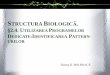 Biologie computaţională - Curs 7sorana.academicdirect.ro/pages/doc/ComputBiol/C06.pdf · Biologie computaţională - Curs 7 Author: Sorana D. BOLBOACA Created Date: 11/22/2013 8:01:41