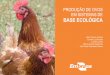 EM SISTEMAS DE BASE ECOLÓGICA...O Brasil possui um Programa Nacional de Apoio à Agricultura de Base Ecológica que nas Unidades Familiares de Produção (BRASIL, [2005]) auxilia