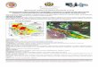 Ministerio de Defensa · 2019. 5. 13. · mapa de recurrencia tendencia de lluvias 72 horas (dewetra) fuente: videci fuente: modelo regional dewetra ... tipuani, mapiri, teoponte,