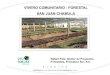 VIVERO COMUNITARIO - FORESTAL SAN JUAN CHAMULA · 2015. 4. 16. · Juan Chamula. Plantas entregadas en diferentes parajes. Ampliación del vivero comunitario a una capacidad total