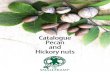Pecan and Hickory nuts - Kwekerij De Smallekamp en... · The Northern pecan nuts (Carya illinoinensis) and ‘Hickory nuts’ Most of the northern Pecan species are partly spontaneously