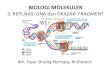 BIOLOGI MOLEKULER 2. DNA dan RNA (Molekul Hereditas)vlm.ub.ac.id/pluginfile.php/43984/mod_resource/content/1...REPLIKASI DNA •In a cell, DNA replication begins at specific locations,