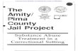t~ Amity/ Pima County Jail Project Amity, Incorporated Amity, Inc. began in Tucson in 1969, and since