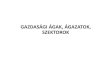 GAZDASÁGI ÁGAK, ÁGAZATOK, SZEKTOROKgeogo.elte.hu/images/02_Gazdasagi_ag_agazat_szektor1.pdf · 2020. 4. 7. · Gazdasági ágazat/ág Az anyagi javak és szolgáltatások előállításával