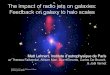 The impact of radio jets on galaxies: Feedback on galaxy ... The impact of radio jets on galaxies: Feedback
