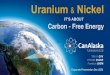 IT’S ABOUT Carbon - Free Energy...TSX-V: CVVThe business scenario for uranium: World-wide demand, limited supply, CO 2 free energy 7 To meet the growing demand for sustainable energy,