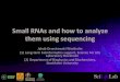 Small%RNAs%and%how%to%analyze% themusingsequencing 2020. 1. 23.¢  Small!RNAs! ¢â‚¬¢ Small!RNAs!are!species!of!shortnon;coding!