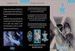 SUPERMARINE SPITFIRE RSC: RONALD STEFFEN CREATIONS SUPERMARINE SPITFIRE «“ e Belgian watch designer