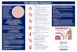 The aSSKINg Framework 1 - Talley Group Ltd · 2020. 10. 27. · The aSSKINg Framework 1 The original five-step SSKIN care bundle approach to preventing and managing pressure ulcers