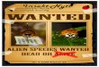 Insekt-Nytt ¢â‚¬¢ 33 (4) Insekt-Nytt ¢â‚¬¢ 33 (4) 2008 Insekt-Nytt presenterer popul£¦rvitenskapelige oversikts