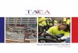 TACA · 2020. 8. 5. · Today, TACA represents 80% of the aggregates, 100% of the cement and 75% of the concrete producers in Texas today. Here are 10 reasons why: TACA members are