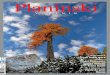 Planinski · 2014. 11. 17. · Rezija. OBVESTILO O IZIDU GOLA GORA, Nanga Parbat (8125 m), druga, dopolnjena izdaja ... snemalne ekipe, ki je pripravljala lm o gori za TV serijo Velikani