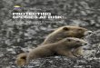 PROTECTING SPECIES AT RISK - govTogetherBC · Over the past year, the Ministry of Environment and Climate Change Strategy has evaluated the legal tools for protecting species at risk