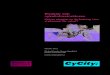 Elcyklar och cykelinfrastrukturen - CyCity DP12: Elcyklar och cykelinfrastrukturen!! 3! Sammanfattning