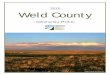2015 Weld County - NFRMPO · work in Weld County12 Live in Weld County and work Elsewhere1413 4,216 198 Live and work in Weld County Working Age Population (18 to 64)11: 11,844 (69.5%)