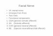 Facial nervegmch.gov.in/sites/default/files/documents/Facial nerve.pdf · facial nerve nucleus. These are crossed fibres. The neurons supplying the forehead muscles, however, receive