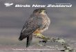 No. 19 September 2018 Birds New Zealand Bird Magazine... · The Magazine of the Ornithological Society of New Zealand. 2 BIRDS NEW ZEALAND fiNumber 18 September 2018 fififi Birds