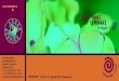Frühjahr 2007 - VOL.ATcdn3.vol.at/2007/01/DrehpunktKursprogramm.pdf · 2011. 10. 4. · Atem und Bewegungstechniken (Minimoves) Wege zu natürlichem Atem Ein- und Durchschlaf-Techniken