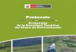 Protocolo - MINAM · 2017. 6. 3. · Protocolo Evaluación de la Exactitud Temática del Mapa de Deforestación 5 Ministerio del Ambiente EQUIPO TÉCNICO EQUIPO PrOfEsIONal - DGOT