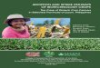 adopt biotech corn. - ISAAA.org...biotech crops in the country’s efforts for sustainable development especially in the agriculture sector. This study was undertaken to analyze the