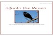 Quoth the Raven Issue 1 the Raven (D&D...Quoth the Raven: Issue #1 2 Never More Greetings! Welcome to the first issue of Quoth the Raven, the online net magazine for Ravenloft and