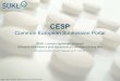 CESP ... CESP Common European Submission Portal ¥ £‘KL v novom digit£Œlnom prostred£­ Z£Œkladn£© inform£Œcie