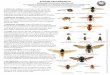 Scheda identi˜cativa - Bologna · 2020. 3. 4. · Scheda identi˜cativa Potenziali errori con nidi di vespe Calabrone europeo, Vespa crabro Calabrone asiatico a zampe gialle, Vespa
