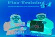 Pisa-Training 3 +4 · 2020. 4. 6. · Pisa-Training Denkaufgaben zur Geometrie für Klasse 3 und Klasse 4 Aufgabenheft bearbeitet von Hermann-Dietrich Hornschuh und Horst Sewerin