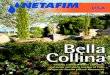 Turning a modest water allotment and sandy soil into a Garden of … · 2021. 1. 19. · Bella Collina is a promise kept. When developer Bobby Ginn fi rst visited the site, it reminded