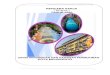 RENCANA KERJA ( RENJA ) TAHUN 2020 · PDF file 2020. 7. 30. · Maksud penyusunan dokumen rencana kerja pada Dinas Perumahan Dan Kawasan Permukiman Kota Mojokerto adalah sebagai dasar