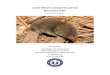 Least Shrew (Cryptotis parva...Least Shrew Recovery Plan Page 6 New Mexico Dept. of Game & Fish Texas, Least Shrews sometimes construct shallow burrow systems with chambers that may