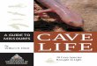 A Guide to Missouri's Cave Lifecavelife.info/pdf/2003 MO cave life.pdfhis guide fills a need for a field identification manual and introduction to the typical cave life of Missouri