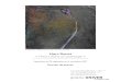 Marc Ronet « Fleurs dans un paysage · 2017. 9. 2. · par Tristan Trémeau, Editions Snoeck, Tourcoing / Roubaix 2015 Grand paysage avec bords dorés, huile sur toile, 97 x 130
