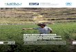 brochure MEBA peru · 2020. 3. 28. · Valle del Colca, Arequipa FOTO: Jacinto Buen˜l Adaptación basada en ecosistemas La adaptación basada en ecosistemas (EbA, por sus siglas