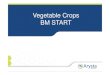 Vegetable Crops BM START - Arysta LifeSciencecropbenefits.com/DocumentMaster/eng/Vegetable Crops BM... · 2016. 9. 5. · Product name: BM START® 3.1. Product description Product