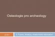 Osteologie pro archeology - Masaryk University · 2011. 3. 20. · Lev jeskynní (Panthera spelaea) Hyena jeskynní (Crocuta spelaea) Medvěd jeskynní (Ursus spelaeus) Kůň spraový
