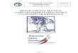REGOLAMENTO TECNICO GARE SBANDIERATORI E MUSICI … tecnico... · 2012. 10. 29. · Pagina n° 2 di 78 Doc. N. RTG/CT FEDERAZIONE ITALIANA SBANDIERATORI COMMISSIONE TECNICA Rev. 19/2012