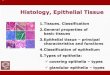 Histology, Epithelial TissueEpithelial tissue Gr. ἐπί, epi, upon + θηλή, thēlē, nipple Origin –from all three germ layers of the embryo The tissue that: covers surfaces